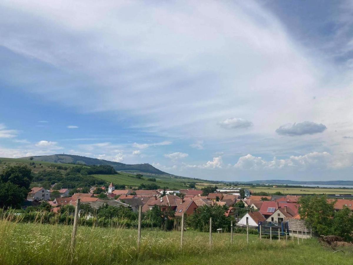 Prazdninovy Dum Na Palave S Vinnym Sklepem בית נופש Milovice (South Moravian)